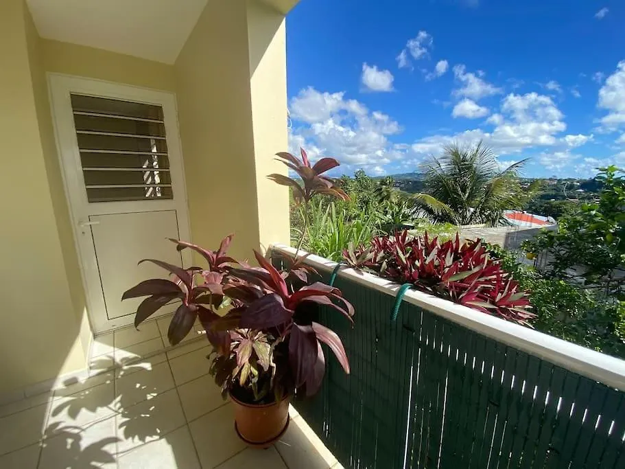 La Gite Le Sucrier Au Lamentin -10 Min Du Chum Le Lamentin Martinique